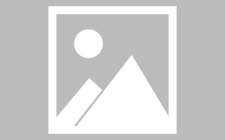 阳谷赤水网站搭建代理品牌（赤水门户网站招标网）